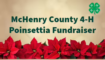 McHenry County 4-H Poinsettia Fundraiser