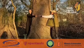 Two people hugging a tree in the forest
