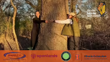 2 people hugging an oak tree in the forest 