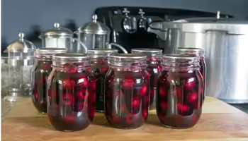 Cherries in jars next to a pressure canner 
