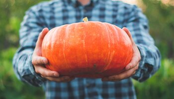 A person holds a bright orange pumpkin out in front of them. They are wearing a black and blue checked flannel, and the background is blurred behind the pumpkin.