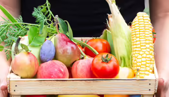 Person holding a wooden box with various vegetables