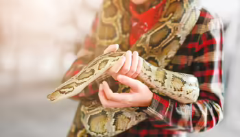 A child holding a python 
