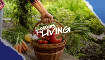 Gardening on a Budget