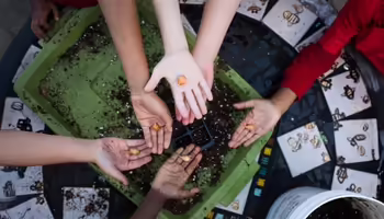 Many hands holding seeds