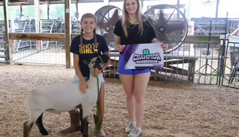 4-H members standing with sheep and award banner