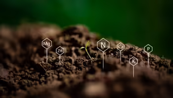 Soil with different nutrient and chemical symbols coming out of it 