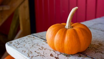 A pumpkin sitting on a white wooden table.