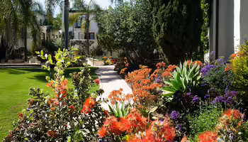 A thriving blooming landscape 