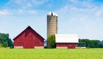 A farm next to a soybean field