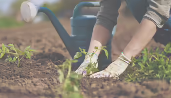 Master Gardener Training starts June 12.