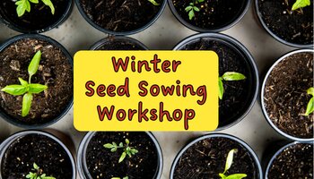 Winter Seed Sowing Workshop