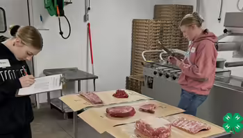 Two young people participate in a livestock skillathon identifying various cuts of meat displayed on tables. A green 4-H clover is in the bottom left corner.