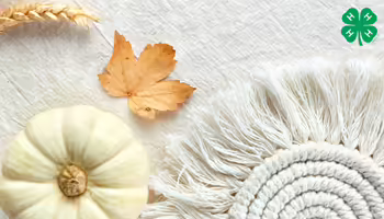 A small white pumpkin, a leaf, a stalk of wheat, and a fringed macrame on a cream fabric background.