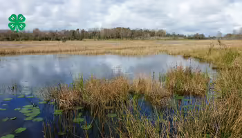 A marsh watershed.