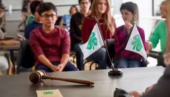 A wooden gavel rests on a table in front of two small flags with a 4-H clover, with people seated in the background.