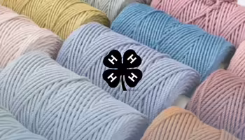A variety of cord colors that can be used to make macrame.