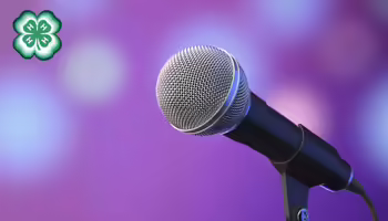 A microphone with a purple background. A green 4-H clover in the upper left corner.