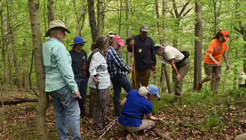 master naturalist volunteers on a forest walk 