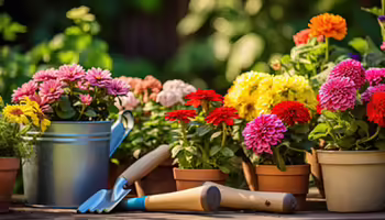 Flowers in various containers with gardening tools.