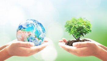 a person holding a colorful globe and someone holding a tree planted in soil