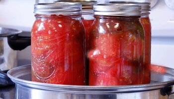 jars of red tomatoes in steam canner without the lid