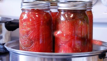 steam canner loaded with four quart jars of tomatoes