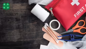 First aid kit displayed on a wooden background. A green 4-H clover in the upper left corner.