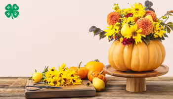 An autumn floral arrangement inside a hollowed-out pumpkin centerpiece. A green 4-H logo in the top left corner.
