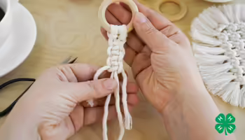 Hands crafting a macramé design attached to a wooden ring on a wooden tabletop next to a coffee cup and scissors. Green 4-H clover in bottom right corner.