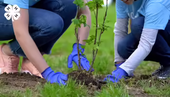 Two people planting a young tree in a grassy area.