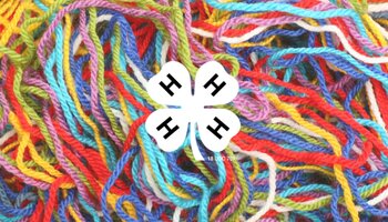 Different colors of yarn. A white 4-H clover in the middle of the image.