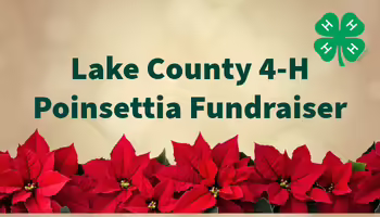 Lake County 4-H Poinsettia Fundraiser 