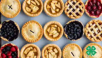 Baking sheet filled with an assortment of small, baked mini pies with various crust designs, with a green 4-H logo in the bottom right corner.