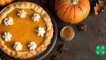 A overhead view of a pumpkin pie surrounded by nuts and pumpkins. A green 4-H clover is in the bottom right corner.