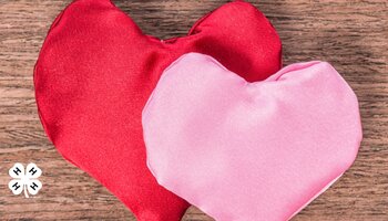 A pink and red heart laying on a wooden background. A white 4-H clover in the bottom left corner.