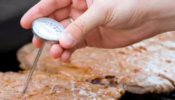 person checking internal temperature of meat on grill with a food thermometer
