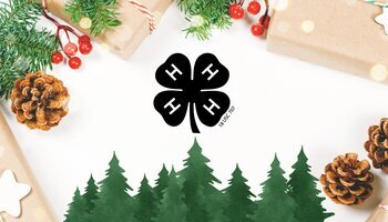 Gifts wrapped in brown paper with red and white ribbon, pine branches, pine cones, and pine trees sitting on a white background. Black 4-H clover in middle.