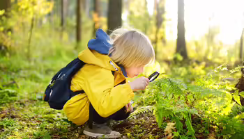 A child with a magnifying glass looking at a fern 
