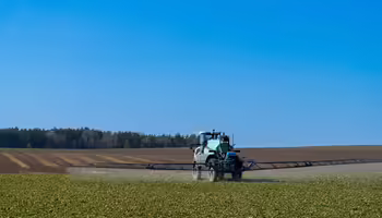A field sprayer travels between early row crops. 