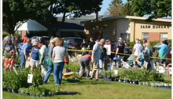 People at the plant sale 
