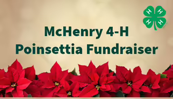 McHenry 4-H Poinsettia Fundraiser