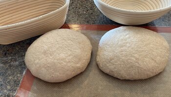 two balls of bread dough