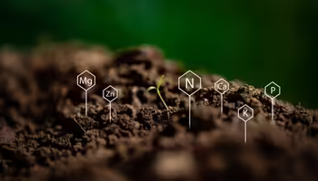 soil with chemical names on it