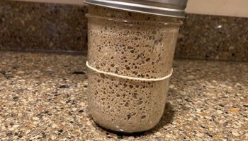 jar of sourdough starter