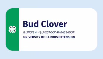 example Illinois 4-H volunteer name tag