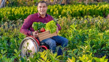vegetable farmer in wheelchair holding box of fresh produce