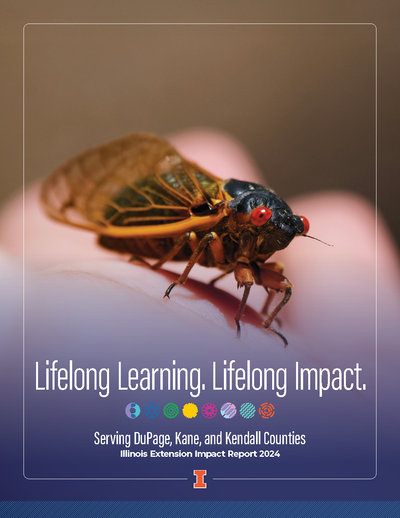 Impact Report Cover
