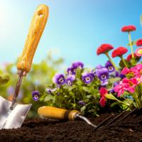 Gardening tools in front of flowers