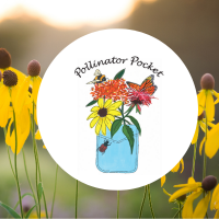 Plant a Pollinator Pocket